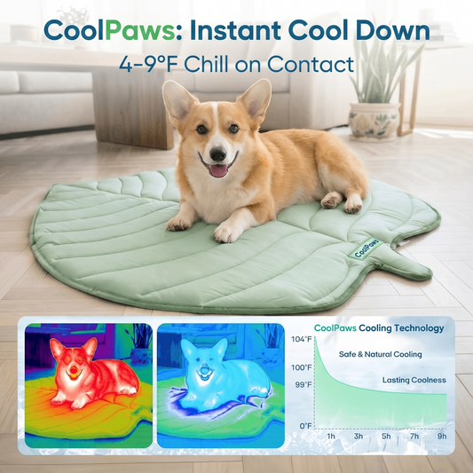 CoolPaws™ 2.0